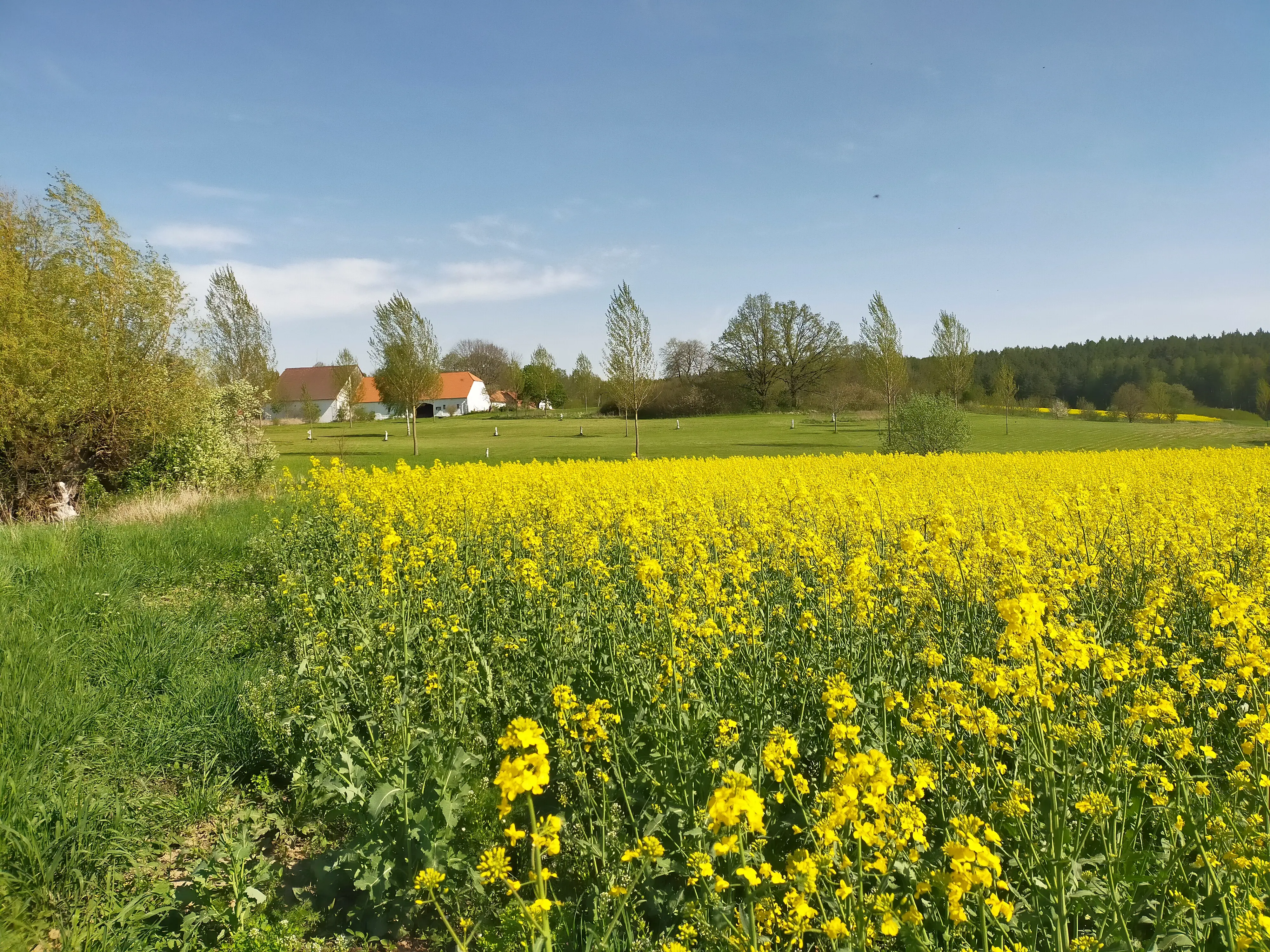 camping met zwembad, bar en speeltuin te koop, Bohemen